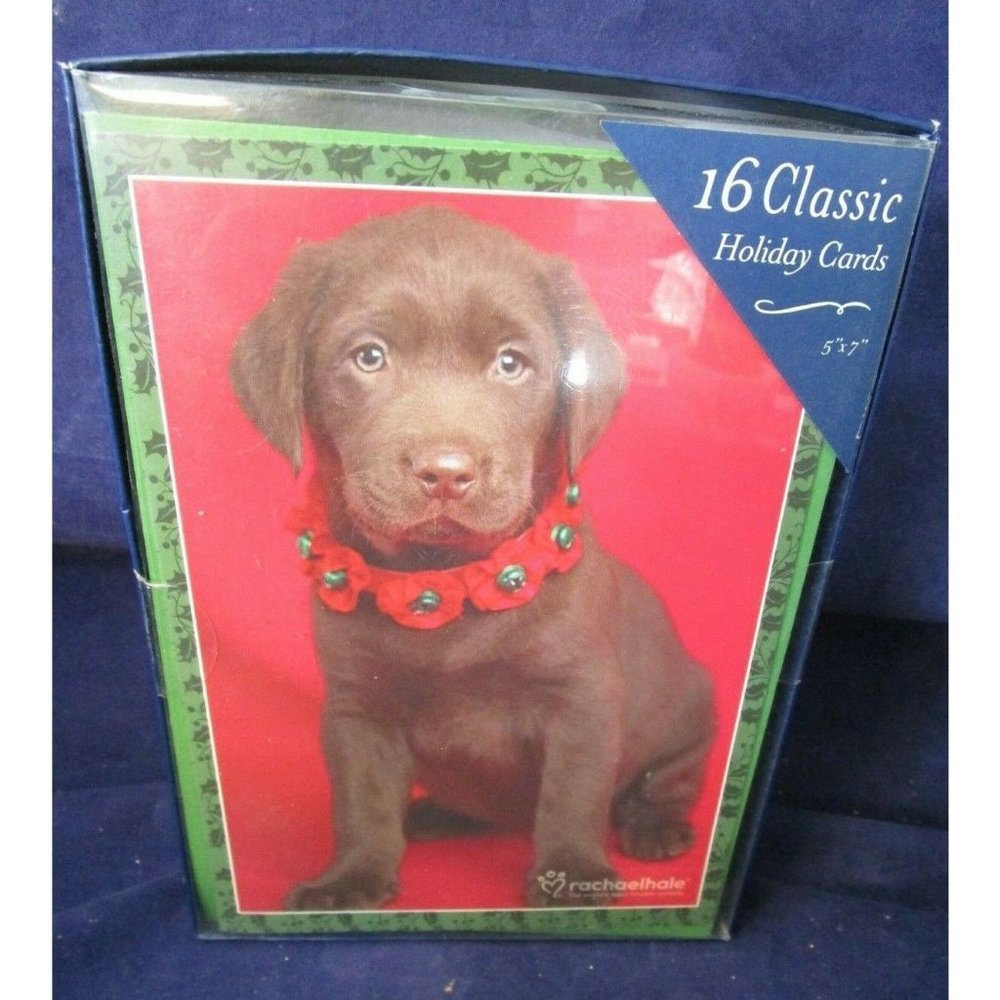 Chocolate Lab Puppy in Christmas Collar 16 Classic Holiday Cards New Old Stock